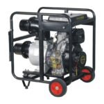 Motobomba Parazzini BP136D