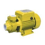 Bomba de Agua Eléctrica BPP165 PARAZZINI 1HP