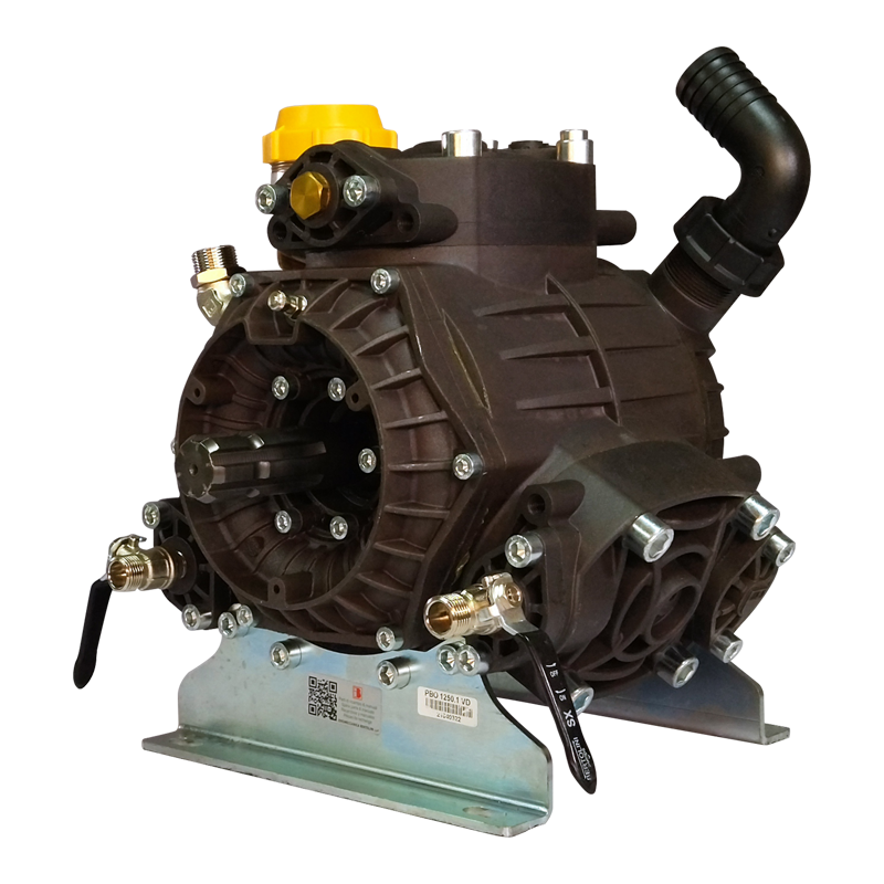 Bomba PBO 1250 VD Bertolini 375111973 - Imagen 6