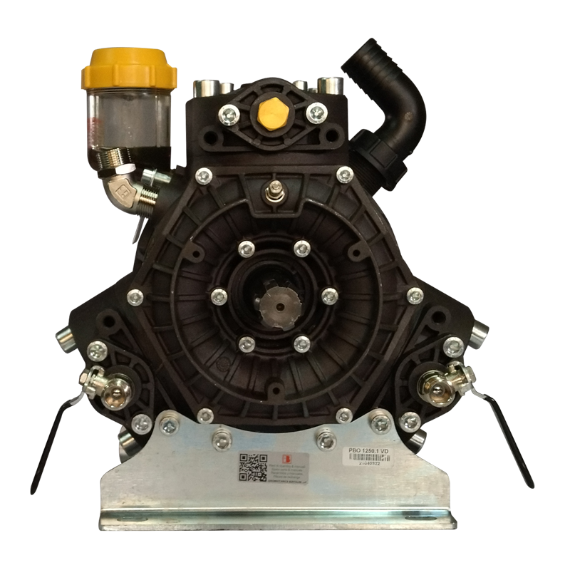 Bomba PBO 1250 VD Bertolini 375111973 - Imagen 5