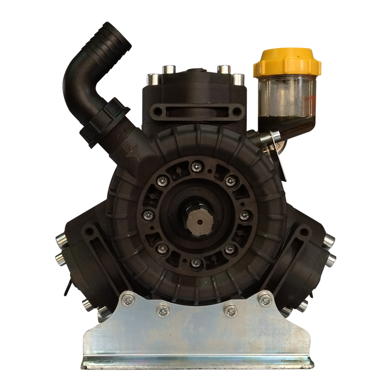 Bomba PBO 1250 VD Bertolini 375111973 - Imagen 2