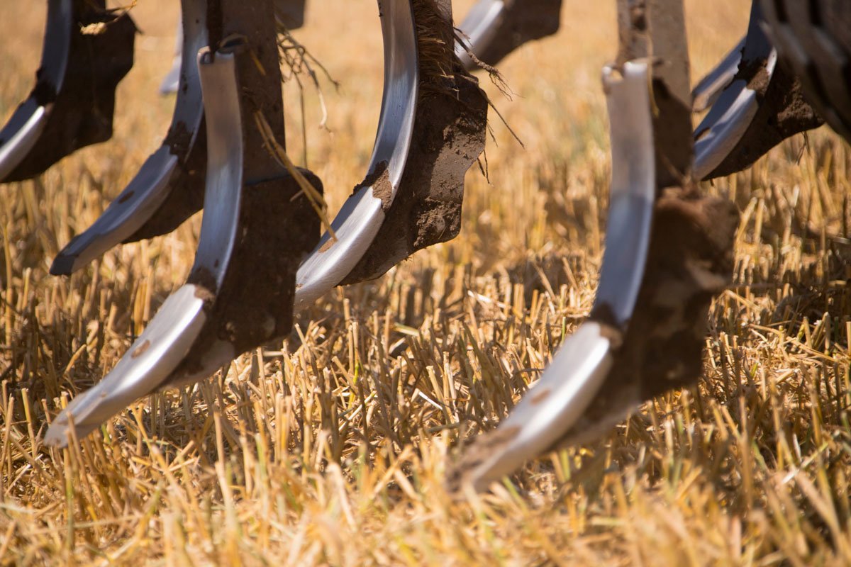 Arado subsolador sobre campo.