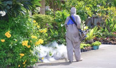 Trabajador de la salud rocía productos químicos para eliminar los mosquitos en el jardín del patio delantero al borde de la carretera