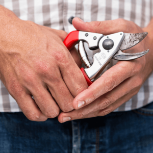 Tijera Felco 15 - Imagen 3