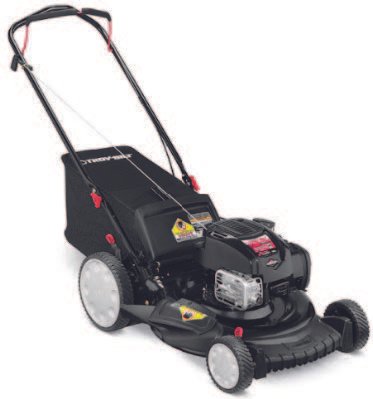 Podadora motor Briggs & Stratton (11A-B2A9715)