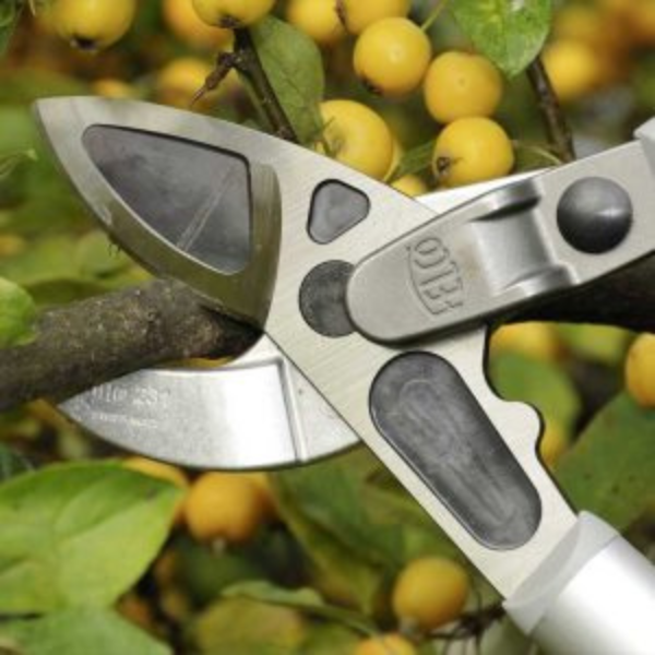 FELCO 231 - Imagen 3