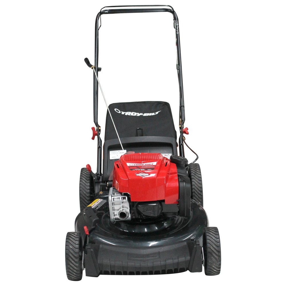 Podadora motor Briggs & Stratton (11A-B2A9715) - Imagen 2