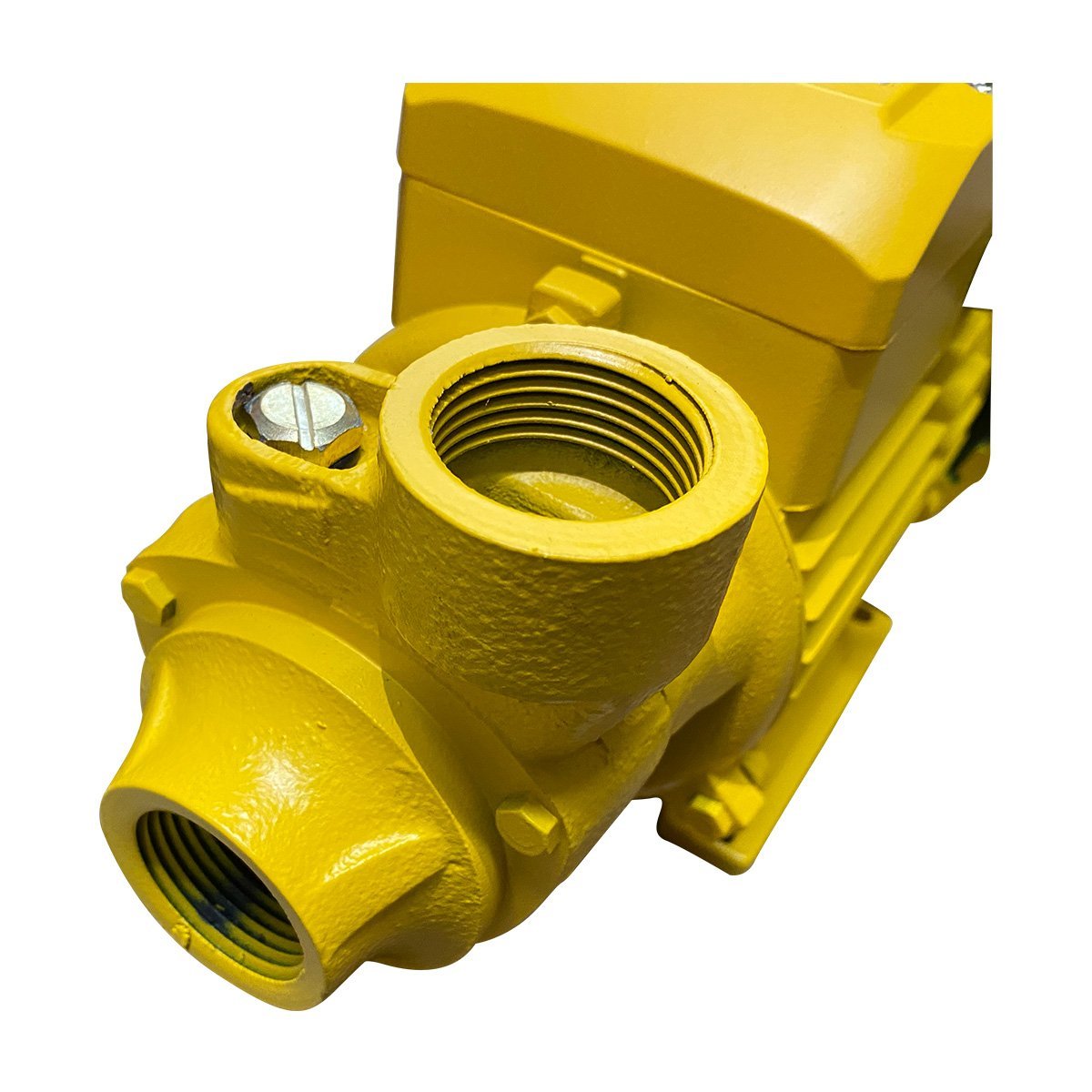 Bomba de agua eléctrica 1 hp (BPP165) - Imagen 3